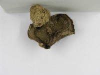 登錄號:F0002278藏品圖，第4張