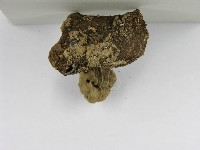 登錄號:F0002278藏品圖，第5張