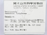 紅菇屬藏品圖，第2張