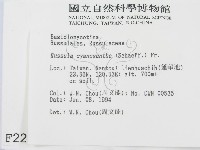 登錄號:F0002280藏品圖，第2張