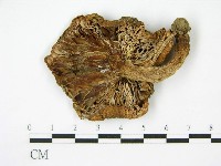 登錄號:F0002280藏品圖，第1張