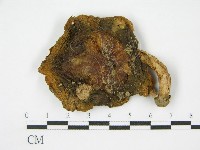 登錄號:F0002280藏品圖，第3張