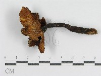 登錄號:F0002282藏品圖，第3張
