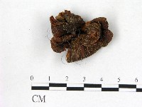 登錄號:F0002283藏品圖，第1張