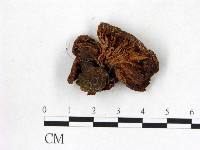 登錄號:F0002283藏品圖，第3張