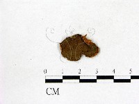 登錄號:F0002284藏品圖，第1張