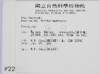 小菇屬藏品圖，第2張