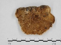 登錄號:F0002286藏品圖，第3張