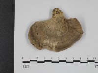 登錄號:F0002287藏品圖，第3張