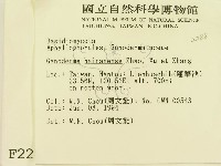 登錄號:F0002288藏品圖，第2張