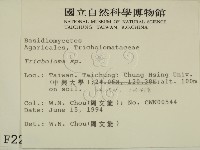 登錄號:F0002289藏品圖，第2張