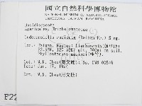 登錄號:F0002291藏品圖，第2張