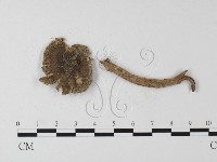 登錄號:F0002295藏品圖，第3張