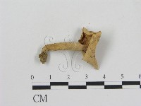 登錄號:F0002296藏品圖，第1張