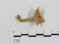 登錄號:F0002296藏品圖，第3張