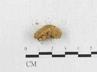 登錄號:F0002297藏品圖，第4張
