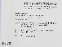 小皮傘屬藏品圖，第2張
