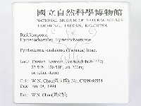 登錄號:F0002299藏品圖，第2張