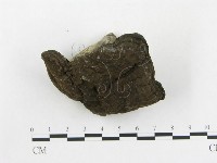 登錄號:F0002299藏品圖，第3張