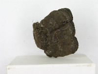 登錄號:F0002299藏品圖，第4張