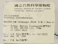 登錄號:F0002300藏品圖，第2張