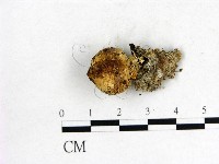 登錄號:F0002301藏品圖，第3張