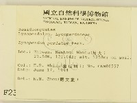 登錄號:F0002302藏品圖，第2張