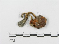 登錄號:F0002304藏品圖，第3張