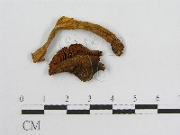 登錄號:F0002305藏品圖，第4張
