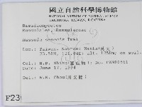 登錄號:F0002306藏品圖，第2張