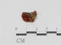 登錄號:F0002306藏品圖，第1張