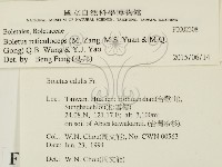 登錄號:F0002308藏品圖，第2張