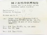 登錄號:F0002308藏品圖，第3張