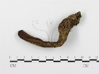 登錄號:F0002308藏品圖，第5張