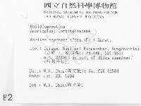 登錄號:F0002309藏品圖，第2張