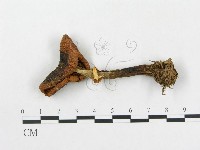 登錄號:F0002309藏品圖，第1張