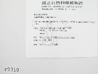 登錄號:F0002310藏品圖，第3張