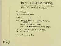 登錄號:F0002311藏品圖，第2張