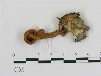 登錄號:F0002311藏品圖，第3張