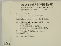 登錄號:F0002312藏品圖，第2張