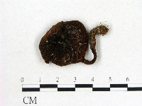 登錄號:F0002314藏品圖，第1張