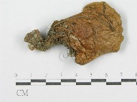 登錄號:F0002315藏品圖，第3張