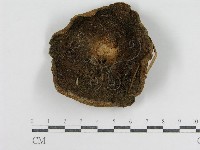 登錄號:F0002316藏品圖，第1張