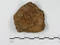 登錄號:F0002316藏品圖，第3張