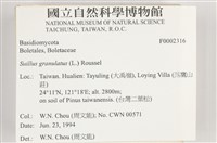 登錄號:F0002316藏品圖，第4張