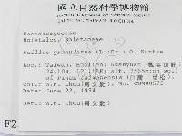 登錄號:F0002317藏品圖，第2張