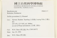 登錄號:F0002317藏品圖，第4張