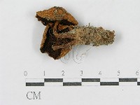 登錄號:F0002318藏品圖，第1張