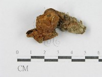 登錄號:F0002318藏品圖，第3張