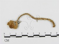 登錄號:F0002319藏品圖，第3張